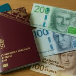 Hvilke låneudbydere i Sverige accepterer danske ansøgere?